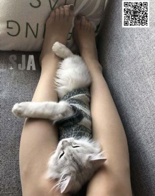 欧美色图怡红院_国产剧在线观看高清